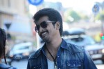 Kakki Sattai Tamil Movie Photos - 8 of 26