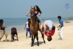 Karai Oram Tamil Movie Stills - 4 of 14