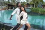 Katti Kantha Rao Movie Latest Stills - 33 of 103