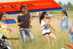 Katti Kantha Rao Movie Latest Stills - 70 of 103