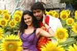 Katti Kantha Rao Movie Latest Stills - 91 of 103