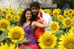 Katti Kantha Rao Movie New Stills - 3 of 11