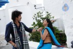 Kedi Movie Gallery - 9 of 16