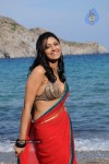 Kedi Movie Gallery - 10 of 16