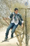 Khaleja Movie Gallery - 6 of 16