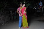 Kodi Punju Movie Spicy Stills - 44 of 79