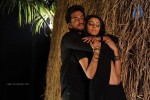 Kodi Punju Movie Spicy Stills - 78 of 79