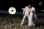 Kodi Punju Movie Spicy Stills - 23 of 79