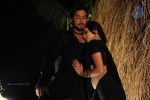 Kodi Punju Movie Spicy Stills - 38 of 79