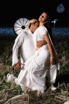 Kodi Punju Movie Spicy Stills - 66 of 79
