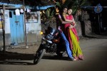 Kodi Punju Movie Spicy Stills - 72 of 79