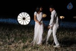 Kodi Punju Movie Spicy Stills - 76 of 79
