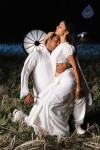 Kodi Punju Movie Spicy Stills - 78 of 79