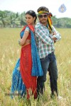 Kodipunju Movie New Stills - 6 of 39