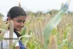 Konjam Veyil Konjam Mazhai Tamil Movie Stills - 11 of 72