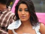 Kotha Prema Movie Stills - 38 of 52