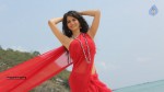 Love Boom Movie Stills - 77 of 70