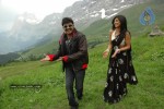 Maa Annayya Bangaram Movie Gallery - 15 of 75