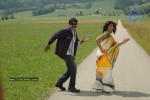 Maa Annayya Bangaram Movie Gallery - 73 of 75