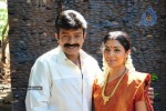 Maa Annayya Bangaram Movie Latest Stills - 35 of 78