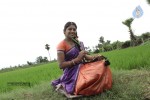 Maa Palle Repallantaa Movie Stills - 5 of 42