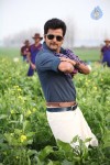 Maan Karate Tamil Movie Stills - 21 of 91