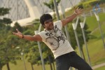 Maharaja Tamil Movie Hot Stills - 38 of 38