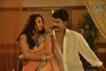 Maharajasri Gaaligadu Movie Hot Stills - 50 of 62