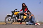 Malupu Movie Stills n Walls - 17 of 20