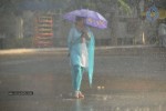 Manasunu Maaya Seyake Movie Stills - 15 of 30
