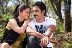 Marumugam Tamil Movie Hot Stills - 38 of 40