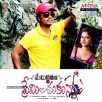 Memiddaram Preminchukunnam Movie Walls - 11 of 30