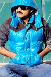 Mirapakaya Movie Latest Gallery - 56 of 63
