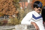Mirapakaya Movie Stills - 23 of 36