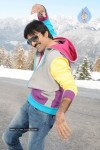 Mirapakaya Movie Stills - 30 of 36
