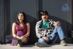 Mirapakaya Movie Stills - 34 of 36