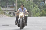 Mogudu Movie New Stills - 2 of 4