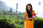 Moondru Per Moondru Kaadhal Tamil Movie Stills - 22 of 47