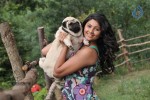 Mounamana Neram Tamil Movie New Stills - 13 of 51