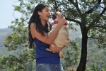 Mounamana Neram Tamil Movie New Stills - 15 of 51