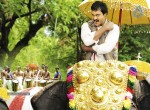Mr. Pellikoduku Movie New Stills - 11 of 19