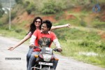 Mr Pellikoduku Movie New Stills - 14 of 18