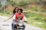 Mr Pellikoduku Movie New Stills - 14 of 18