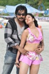 Mr Rascal Movie Stills - 6 of 86