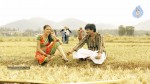 Mudduga Movie Stills - 30 of 45