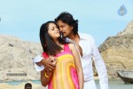 Murattu Kaidhi Tamil Movie Stills - 15 of 49