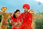 Naan Chathriyan Tamil Movie Stills - 12 of 39