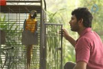 Naan Sigappu Manithan Tamil Movie New Stills - 31 of 33