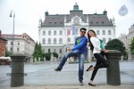 Naayak Movie Gallery - 103 of 144