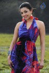 Naayak Movie Gallery - 43 of 144